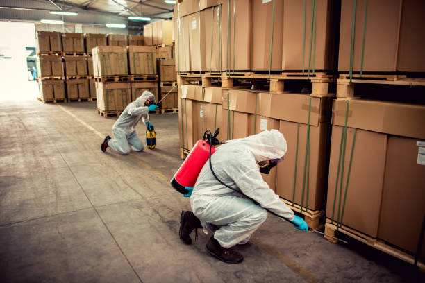 Best Bed Bug Extermination  in Davenport, FL