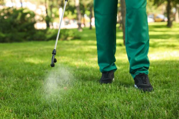 Best Pest Prevention Services  in Davenport, FL