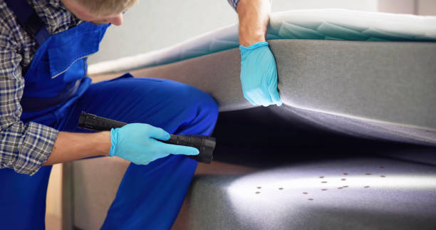 Best Rat Extermination Near Me  in Davenport, FL